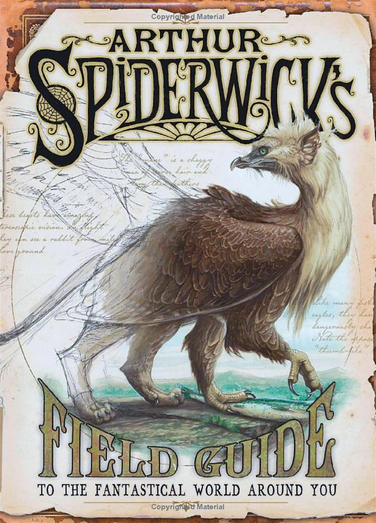 Arthur Spiderwicks Field Guide To The Fantastical World Around You 1st Edition Holly Black