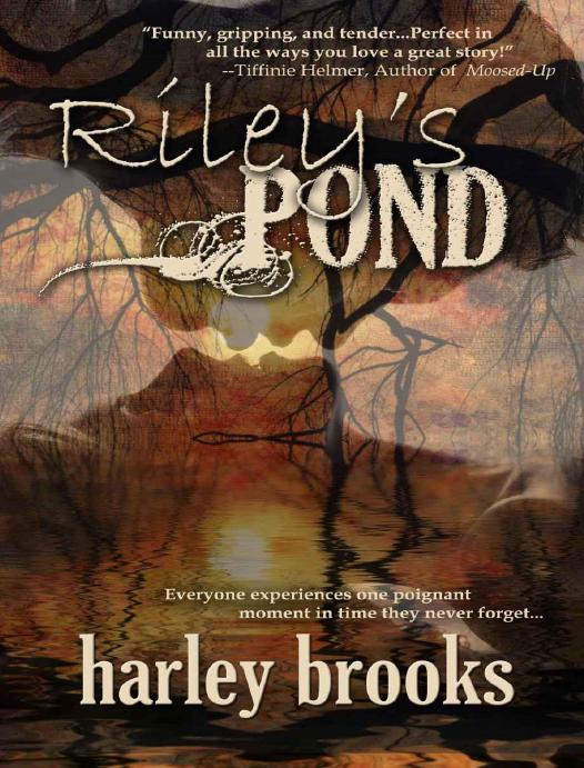 Rileys Pond Brooks Harley