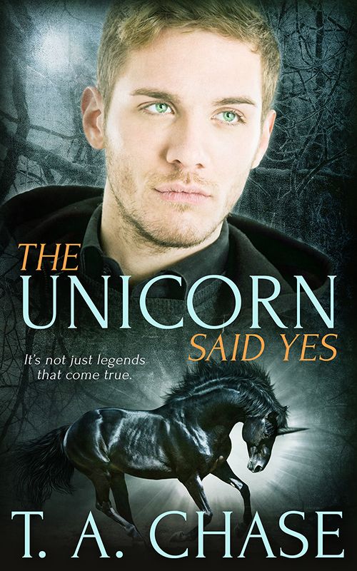 The Unicorn Said Yes Chase T A