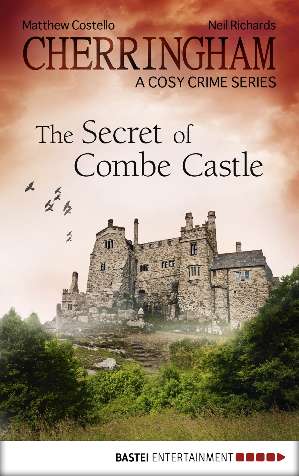 The Secret Of Combe Castle Costello Matthew Richards Neil