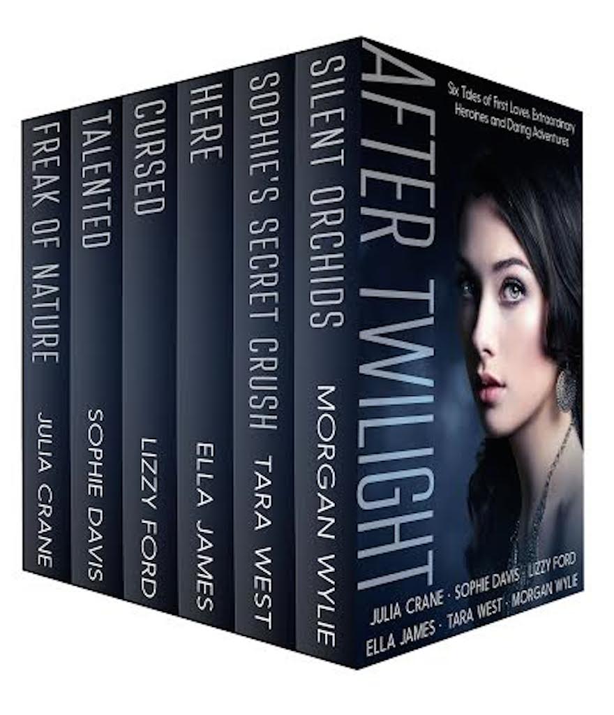 After Twilight Ya Bundle Crane Julia Davis Sophie Ford Lizzy James Ella