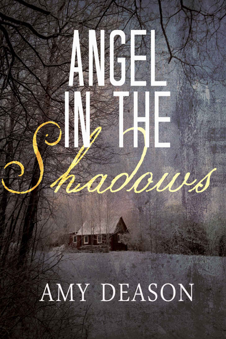 Angel In The Shadows Deason Amy