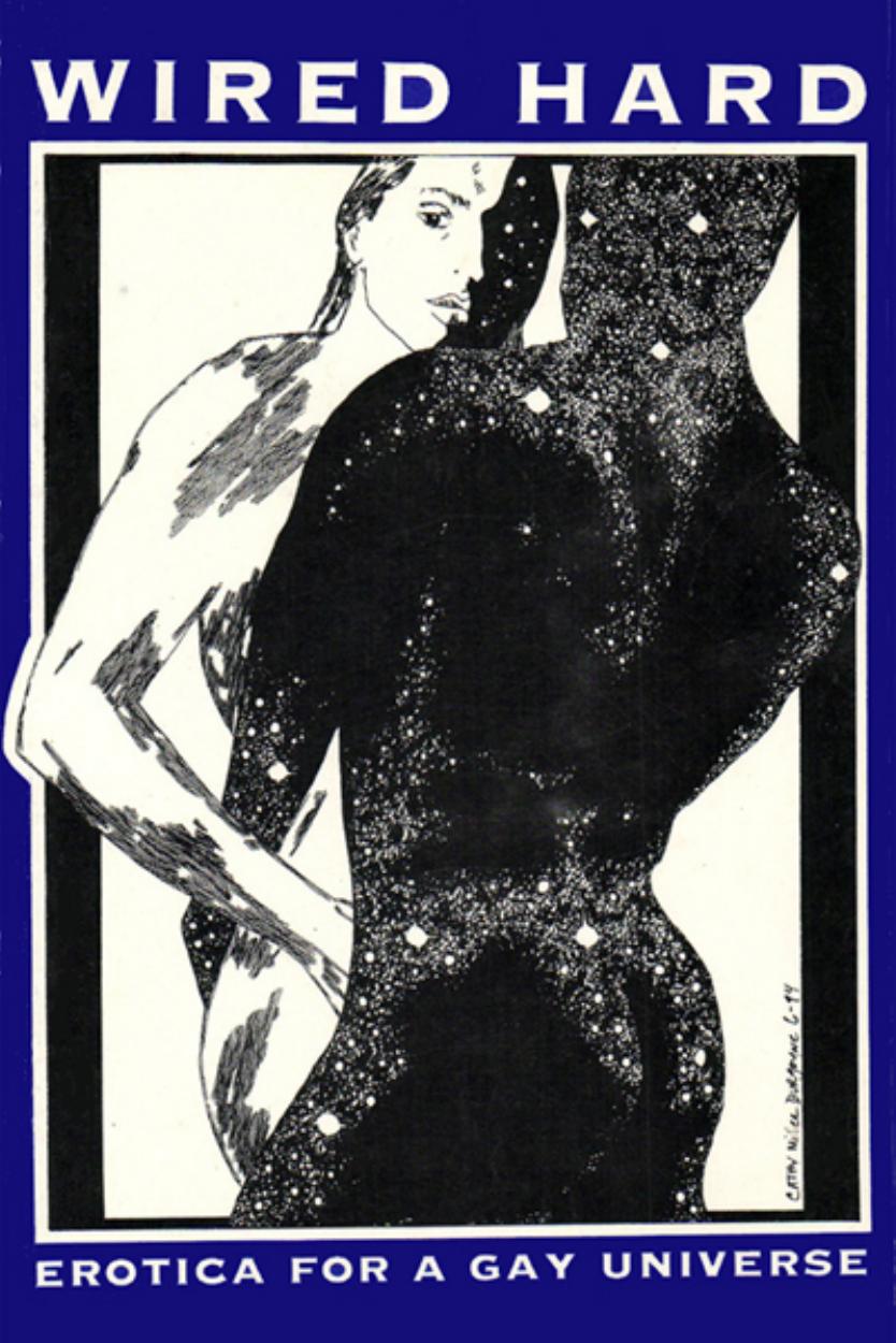 Erotica For A Gay Universe Tan Cecilia Burka Lauren P Editor Editor Joy Crelin