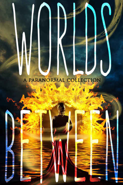 Worlds Between Ficklin Sherry D Finn K C Cunningham Melissa J Wetzel Julie