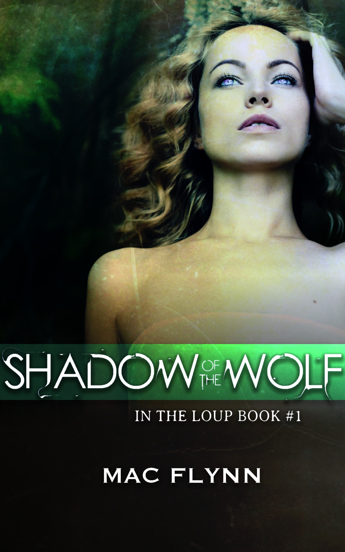 Shadow Of The Wolf In The Loup 1st Edition Flynn Mac
