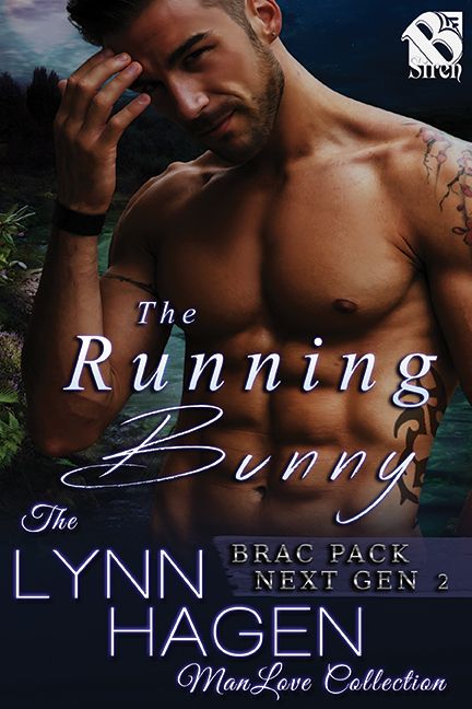 The Running Bunny Lynn Hagen