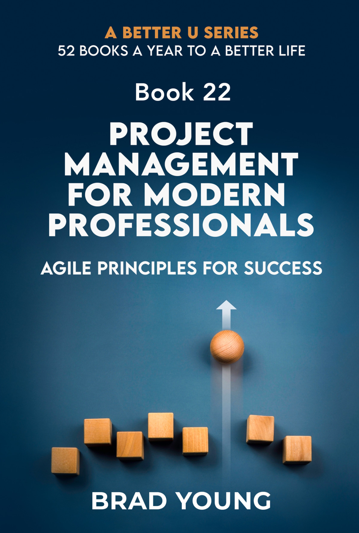 Project Management For Modern Professionals Brad Young