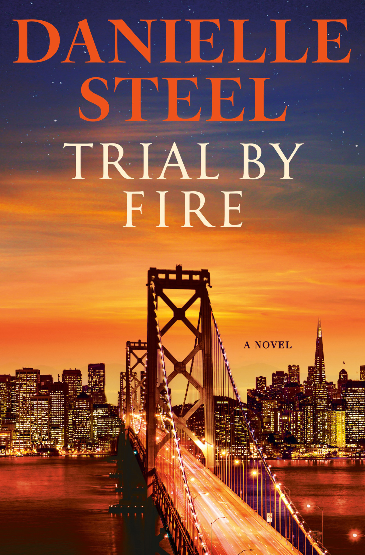 Trial By Fire A Novel Danielle Steel