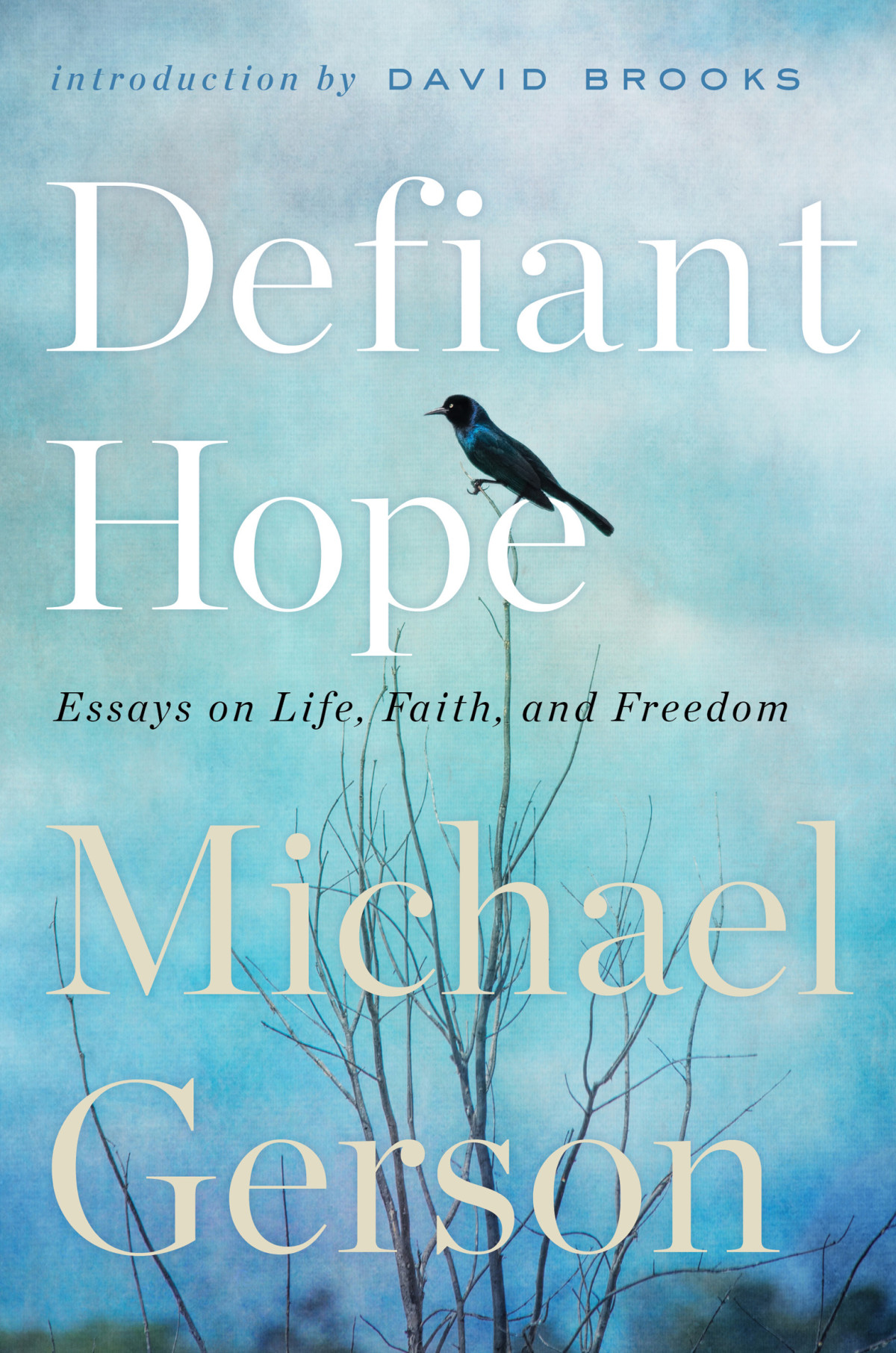 Defiant Hope Essays On Life Faith And Freedom Michael Gerson
