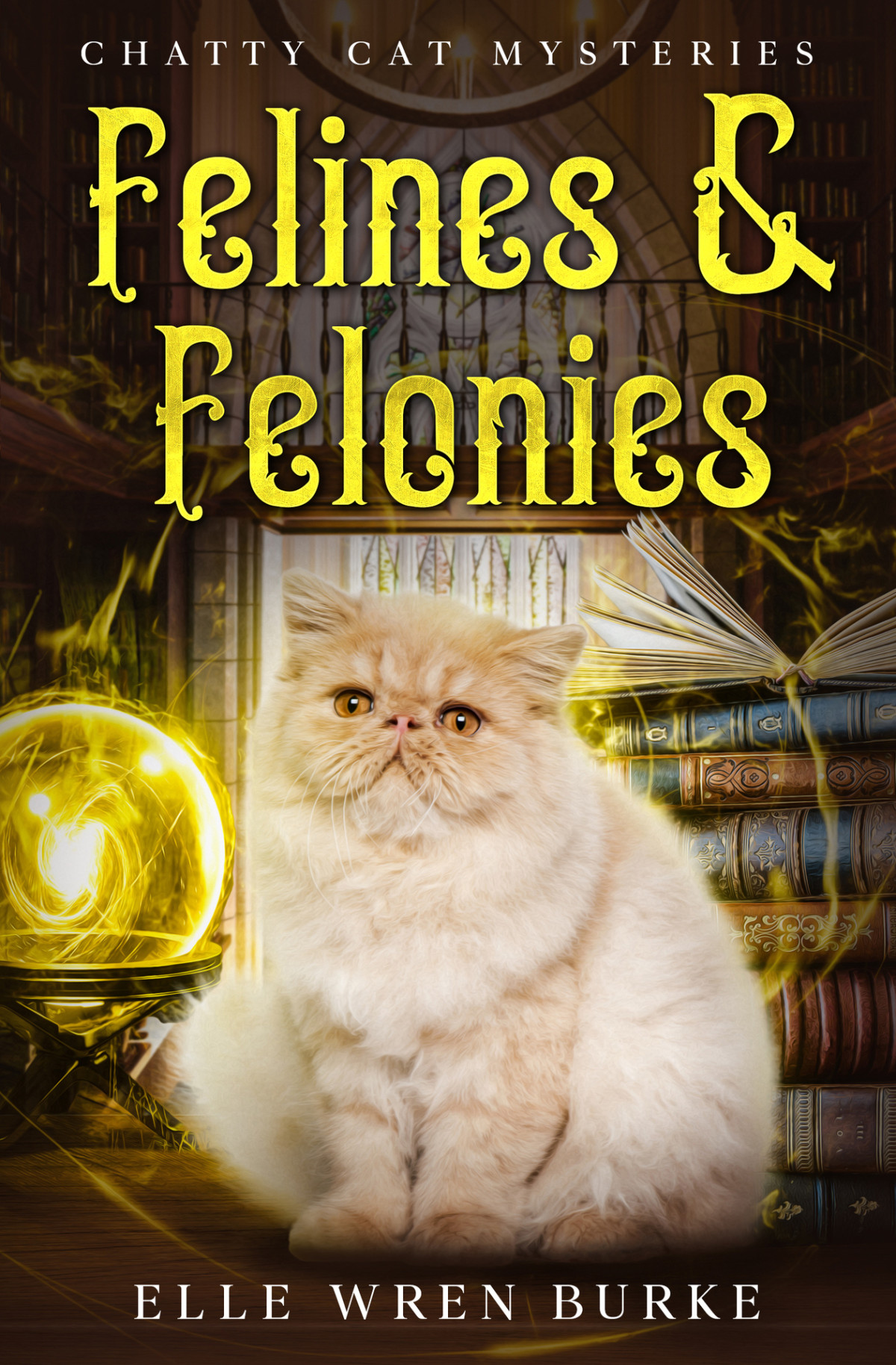 Felines Felonies Chatty Cat Cozy Mysteries No 3 Elle Wren Burke