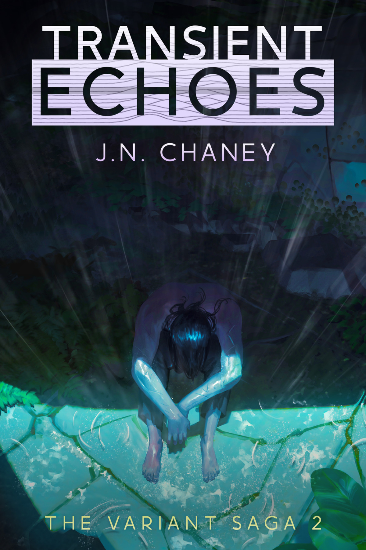 Transient Echoes A Dystopian Scifi Novel The Variant Saga Book 2 Jn Chaney
