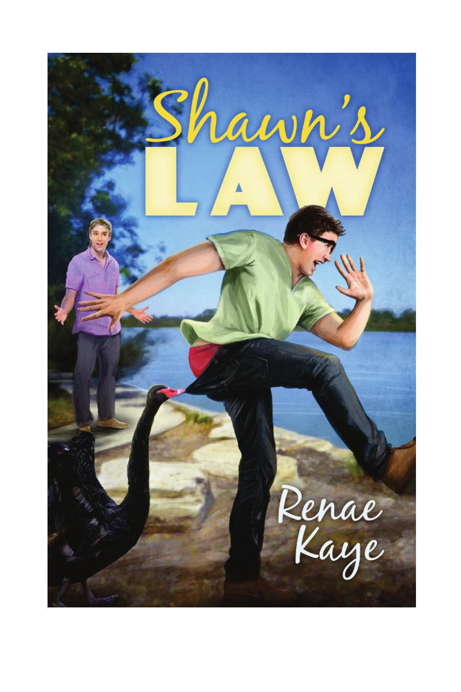Shawns Law Kaye Renae