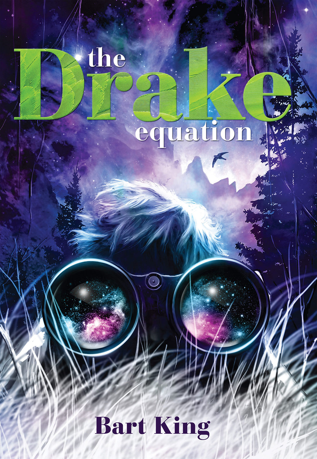 The Drake Equation King Bart