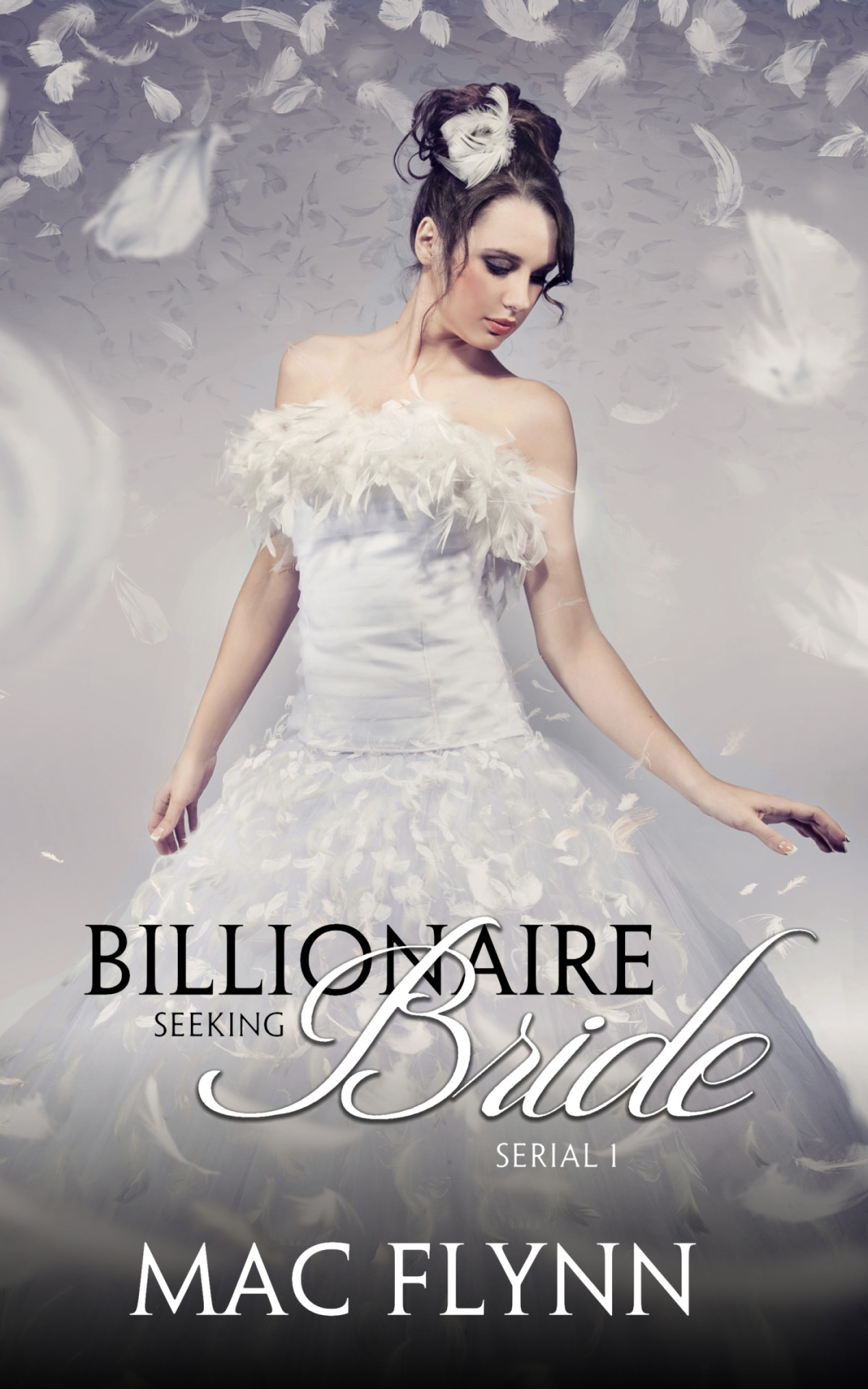 Billionaires Seeking Brides Billionaires Seeking Brides 1 29th Edition Mac Flynn