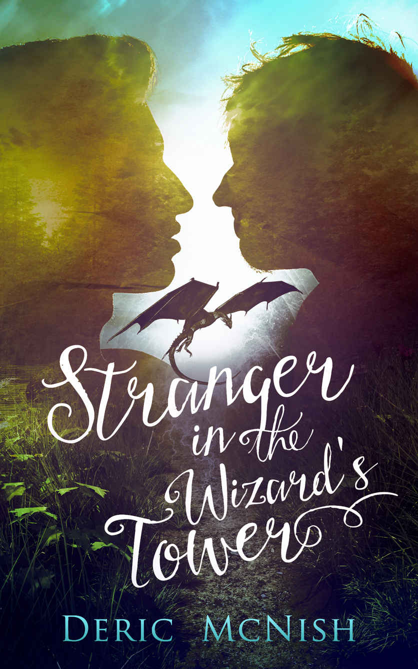 Stranger In The Wizards Tower Mcnish Deric