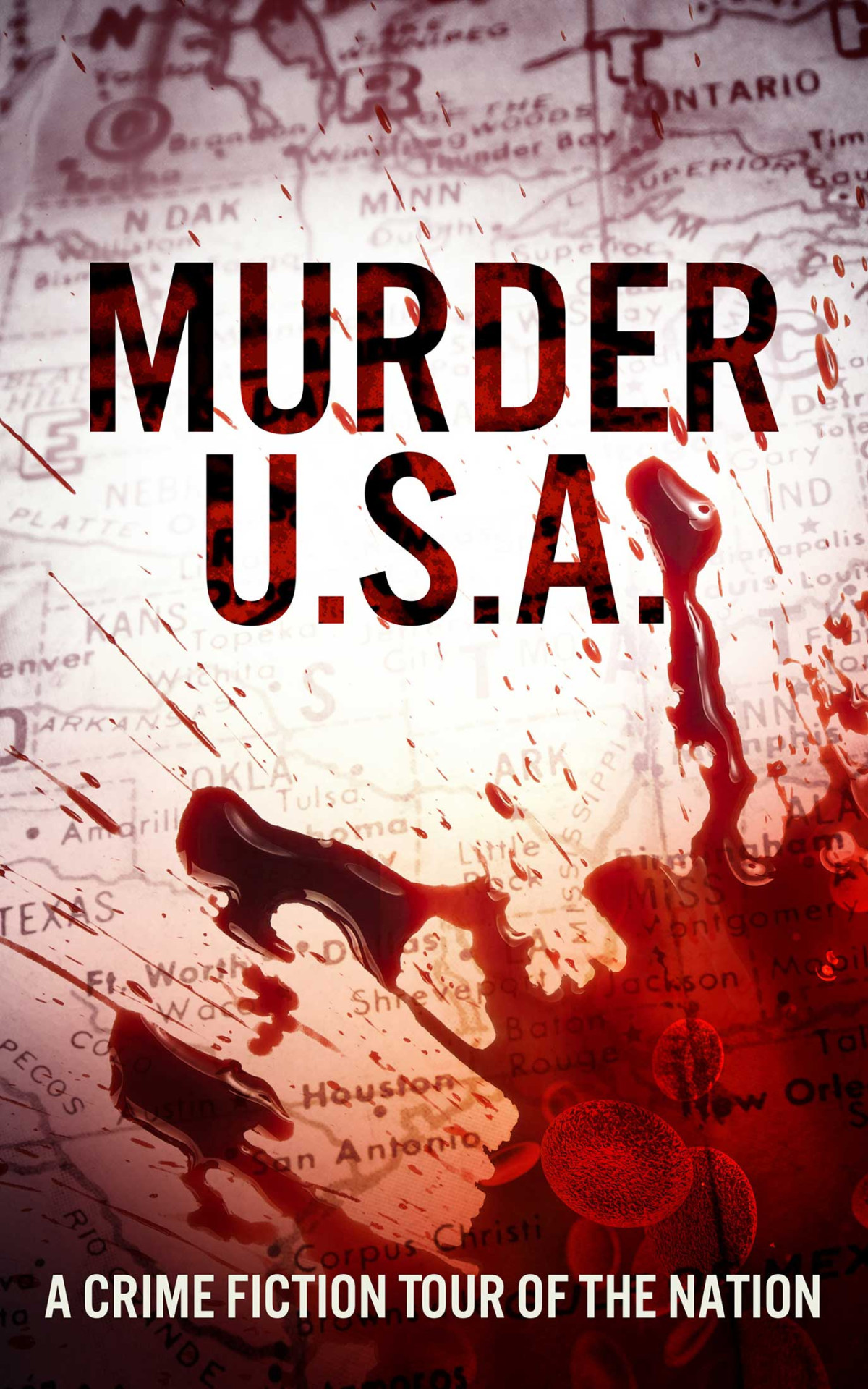 Murder Usa A Crime Fiction Tour Of The Nation Elise Kristen Elise Kristen Editor
