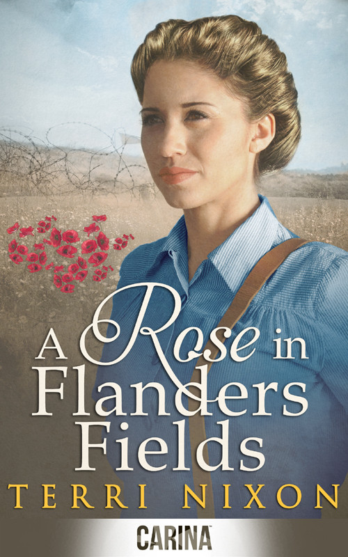 A Rose In Flanders Fields Nixon Terri