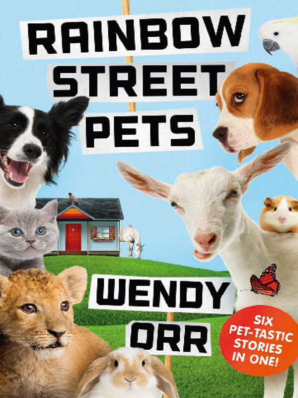 Bear The Dog Henry The Guinea Pig Kiki The Lion Buster The Cat Pebbles The Pony Bella The Beagle Orr Wendy