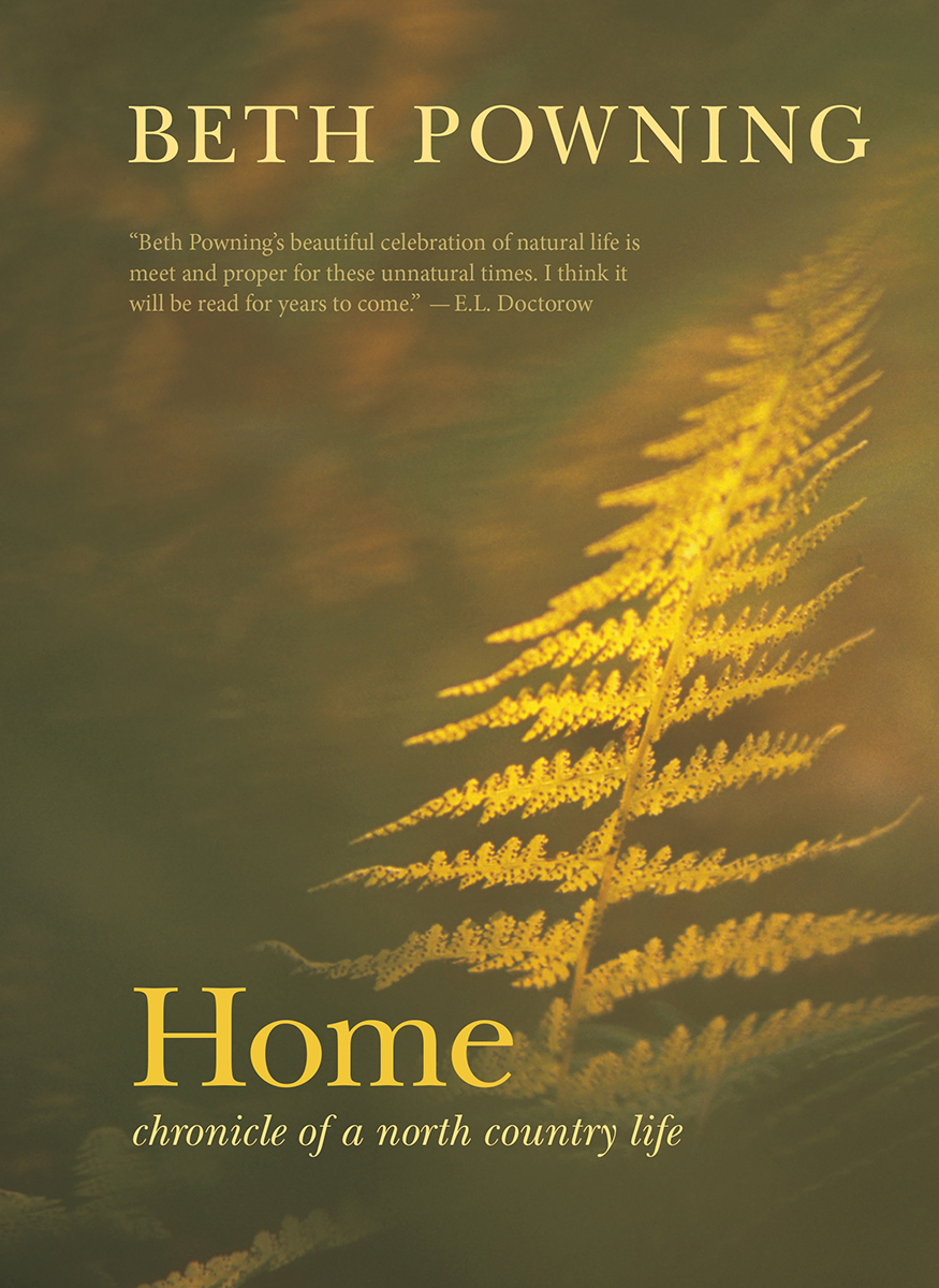 Home Chronicle Of A North Country Life Powning Beth