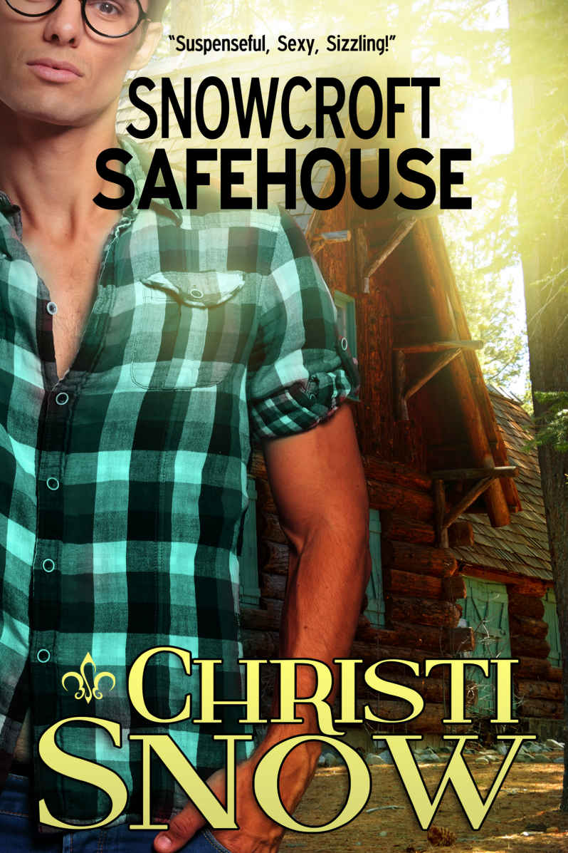 Snowcroft Safehouse Snow Christi