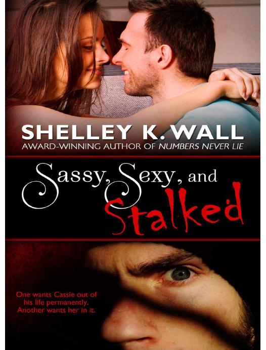 Sassy Sexy And Stalked Wall Shelley K