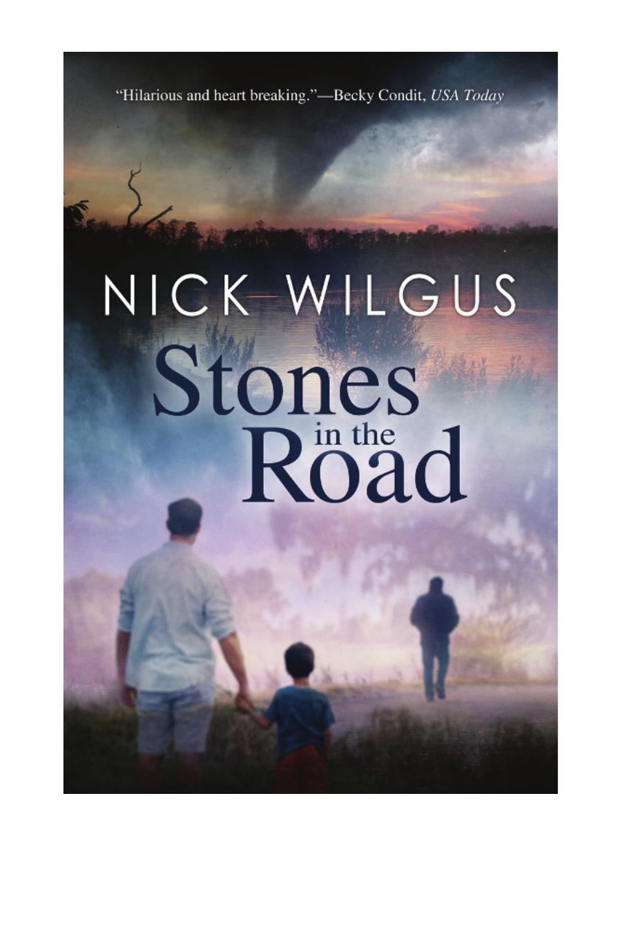 Stones In The Road Wilgus Nick