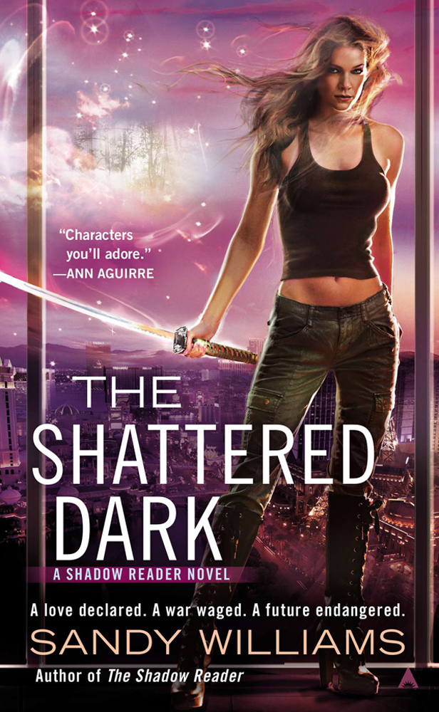 The Shattered Dark Williams Sandy