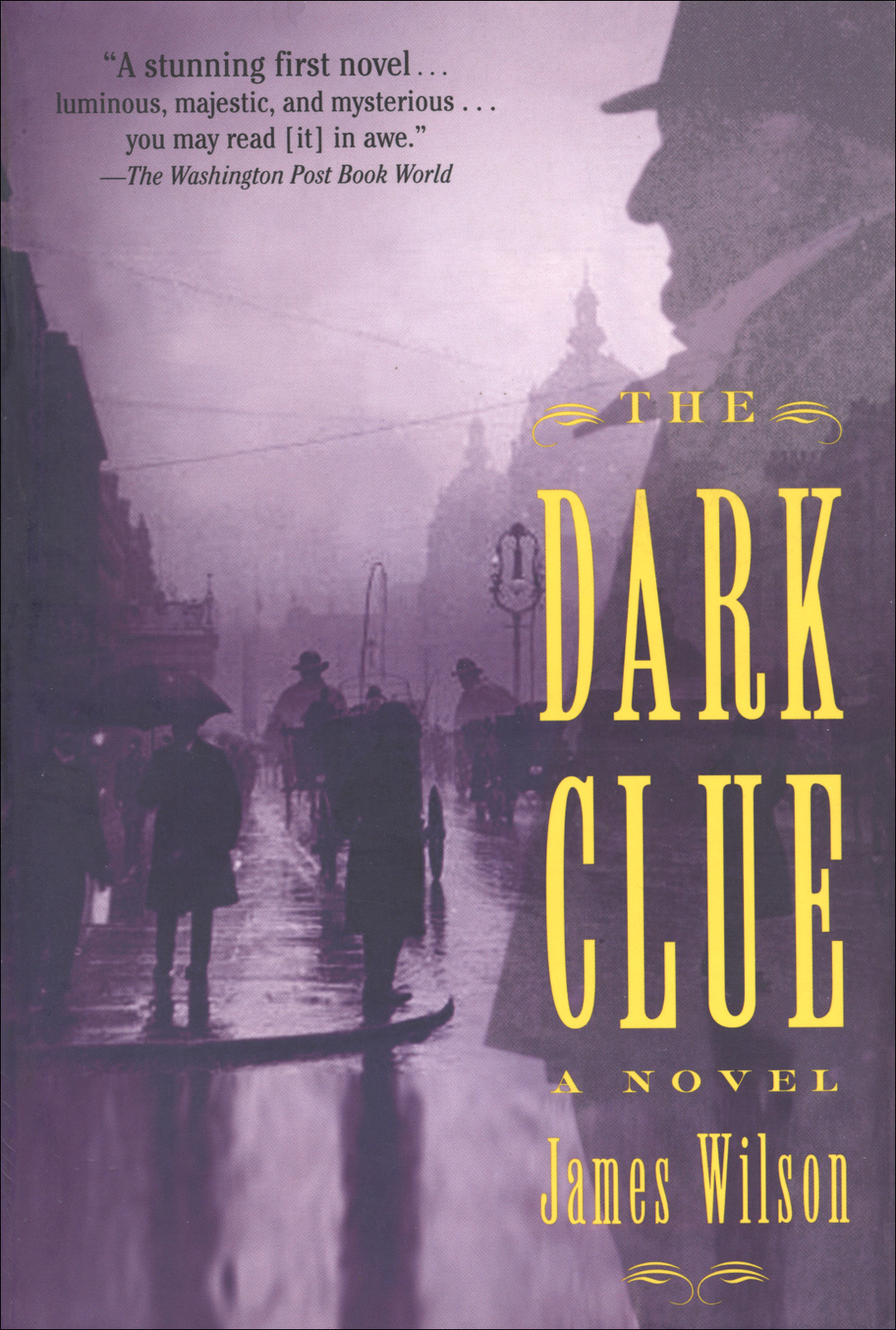 The Dark Clue Wilson James