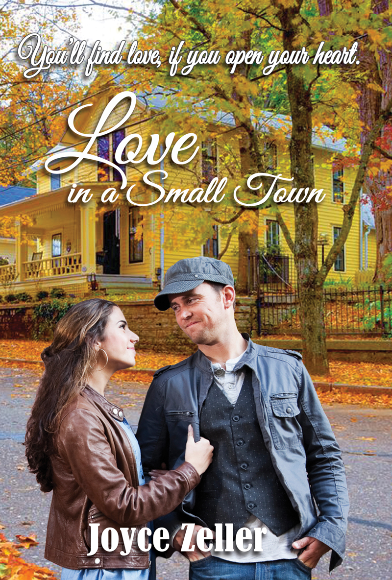 Love In A Small Town Zeller Joyce