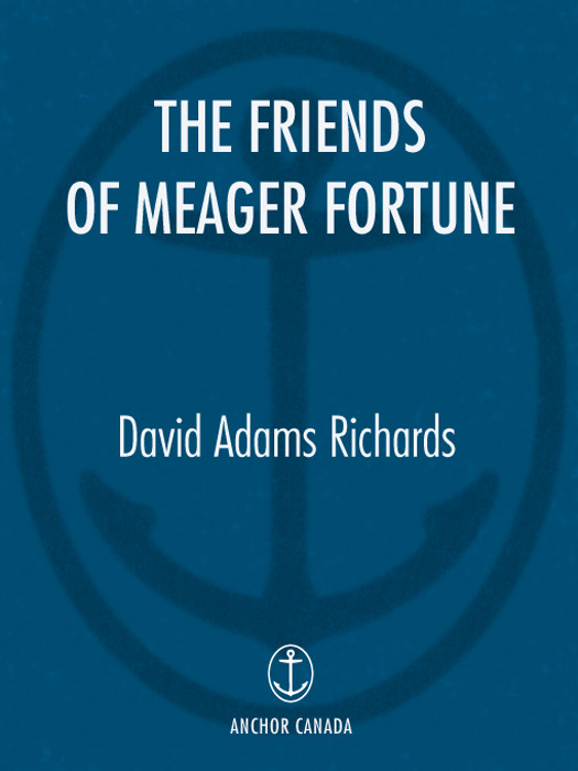 The Friends Of Meager Fortune Richards David Adams