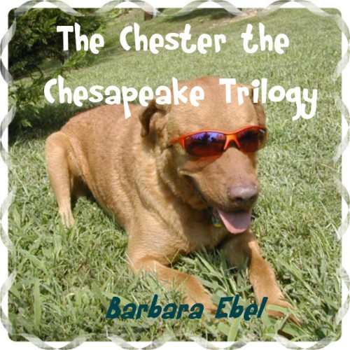 Chester The Chesapeake Summertime Wintertime Ebel Barbara