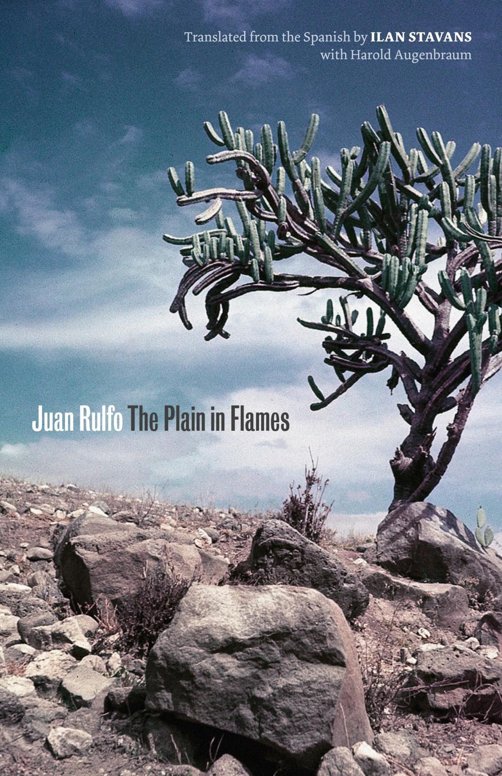 The Plain In Flames Rulfo Juan