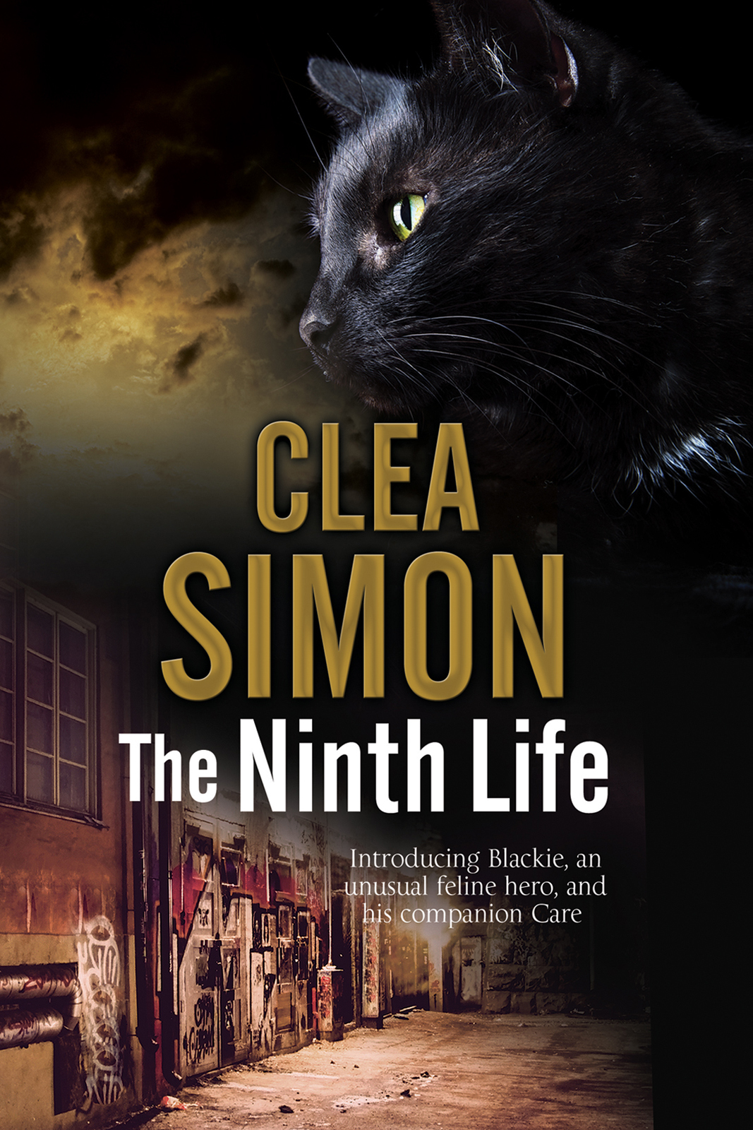 The Ninth Life Blackie Care 1 Clea Simon