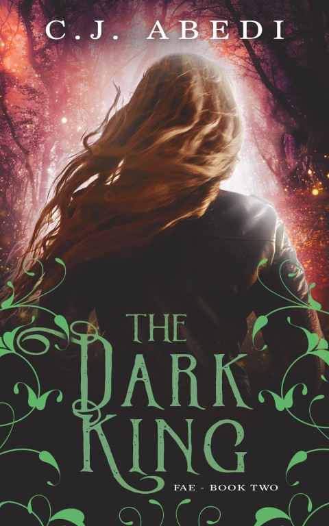 The Dark King 1st Edition Cj Abedi