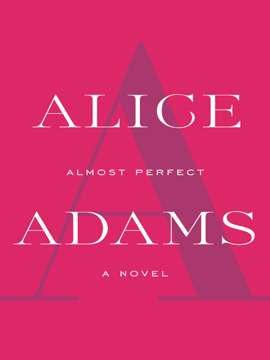 Almost Perfect Novels Short Story Collections Adams Alice