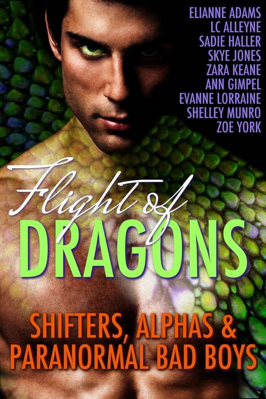 Flight Of Dragon 1st Edition Various Authors