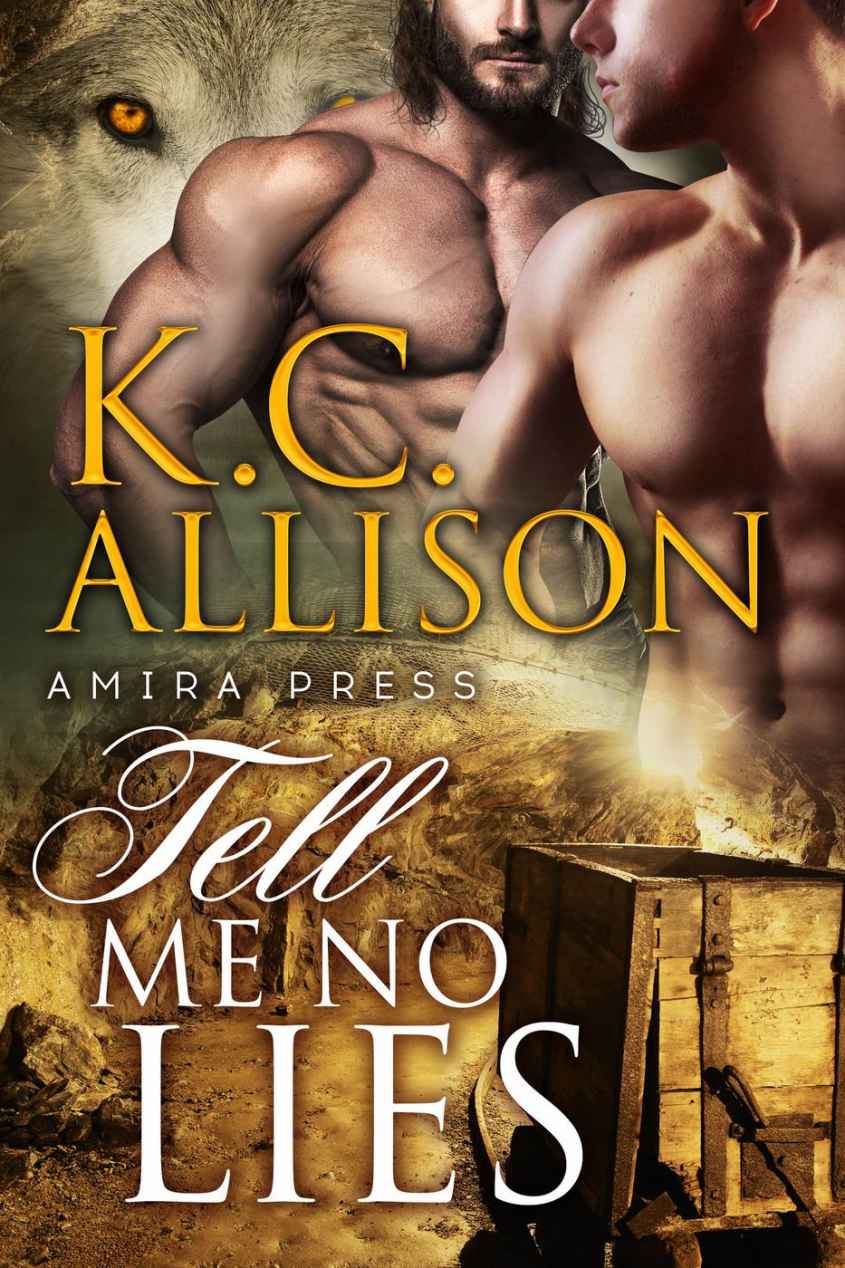 Tell Me No Lies Allison K C