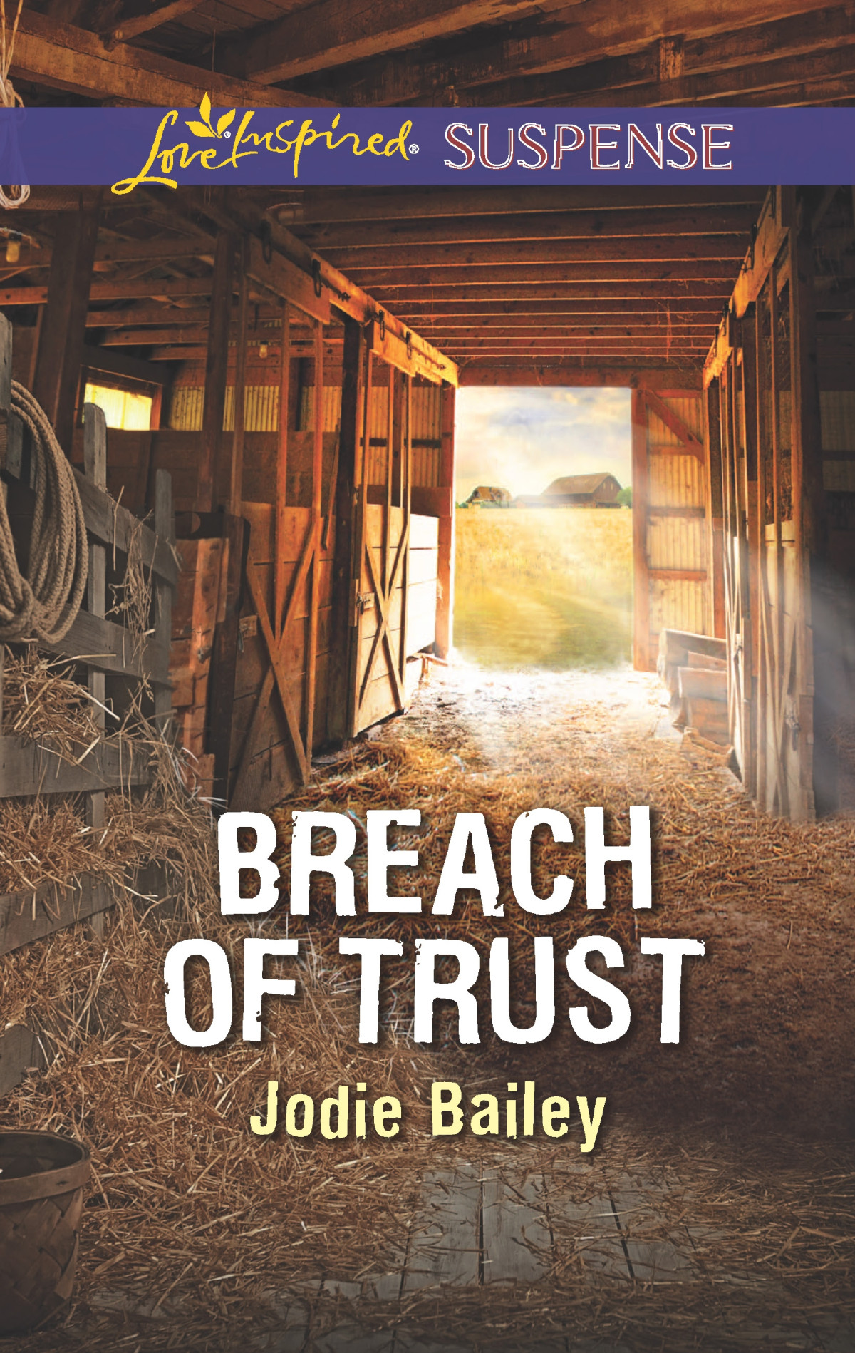 Breach Of Trust Jodie Bailey