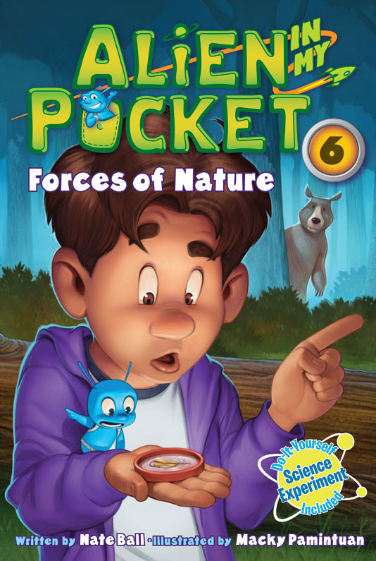 Forces Of Nature Ball Nate