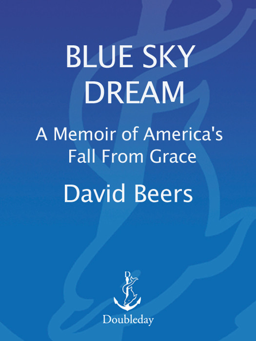Blue Sky Dream A Memoir Of Americas Fall From Grace Beers David