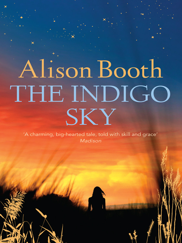 The Indigo Sky Booth Alison