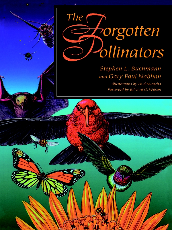 The Forgotten Pollinators Stephen L Buchmann Gary Paul Nabhan
