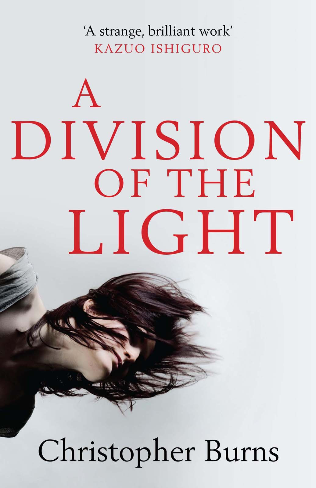 A Division Of The Light Burns Christopher