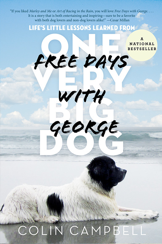Free Days With George Learning Lifes Little Lessons From One Very Big Dog Campbell Colin