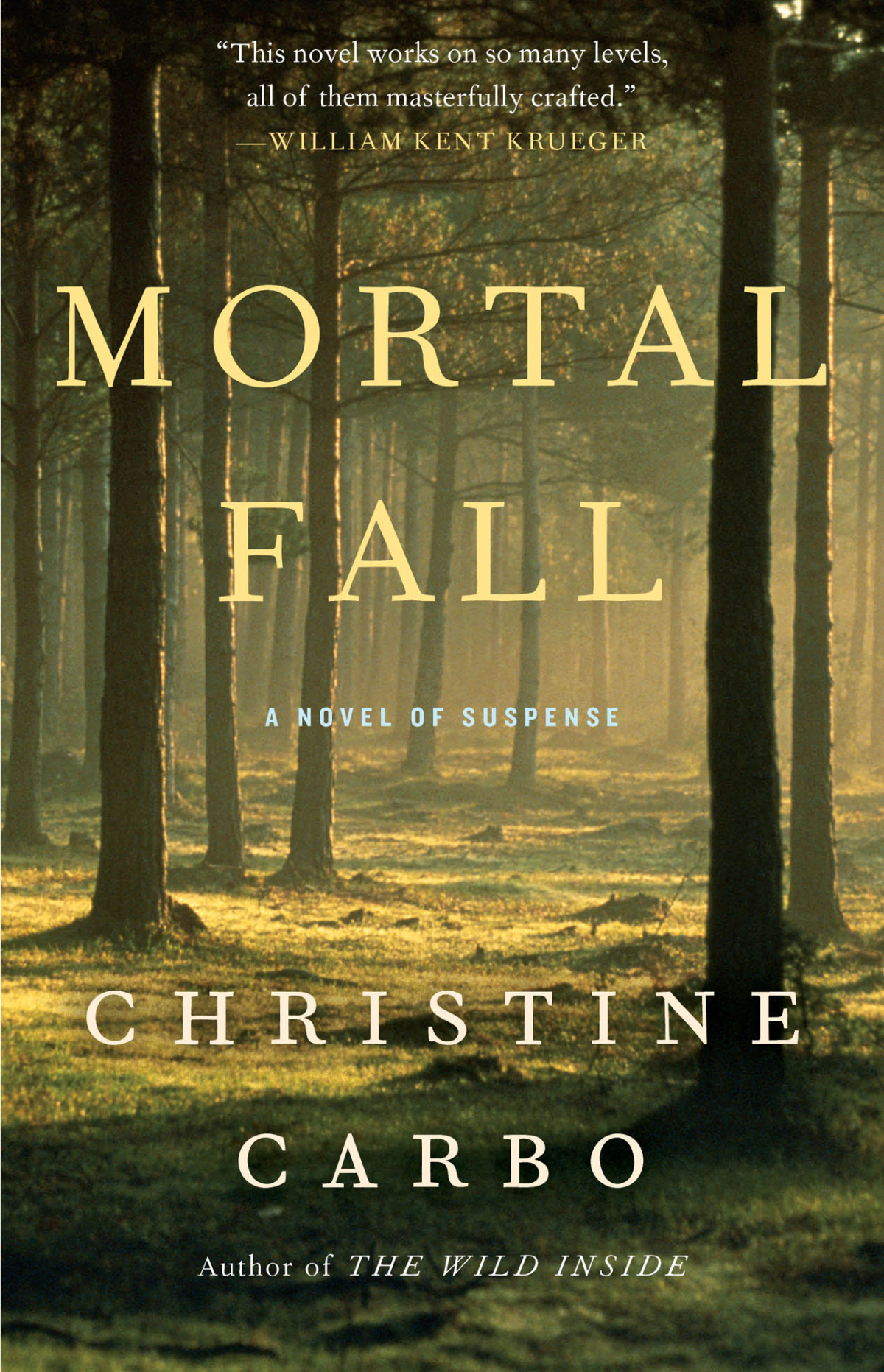 Mortal Fall A Novel Of Suspense Carbo Christine
