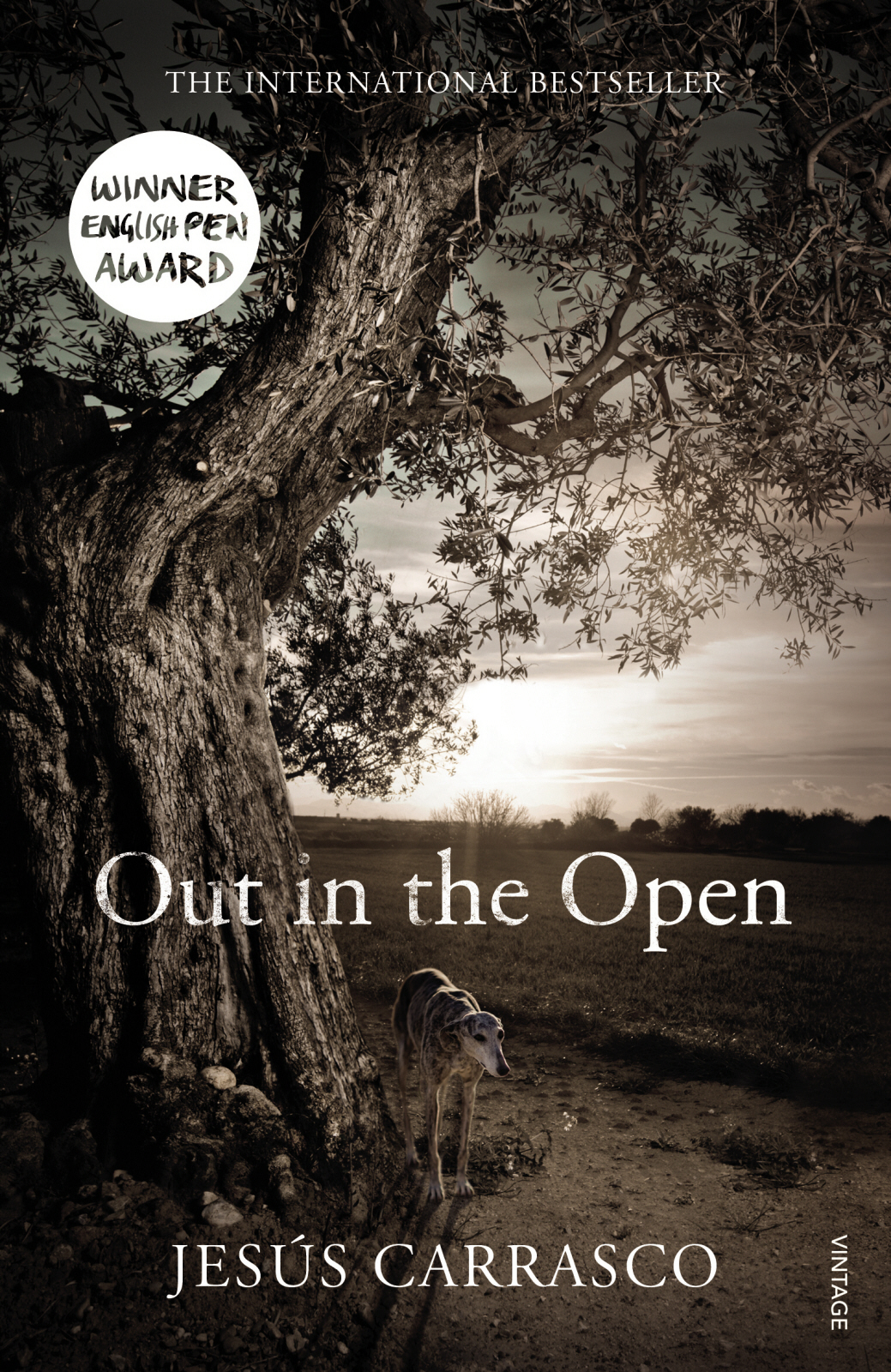 Out In The Open Carrasco Jess