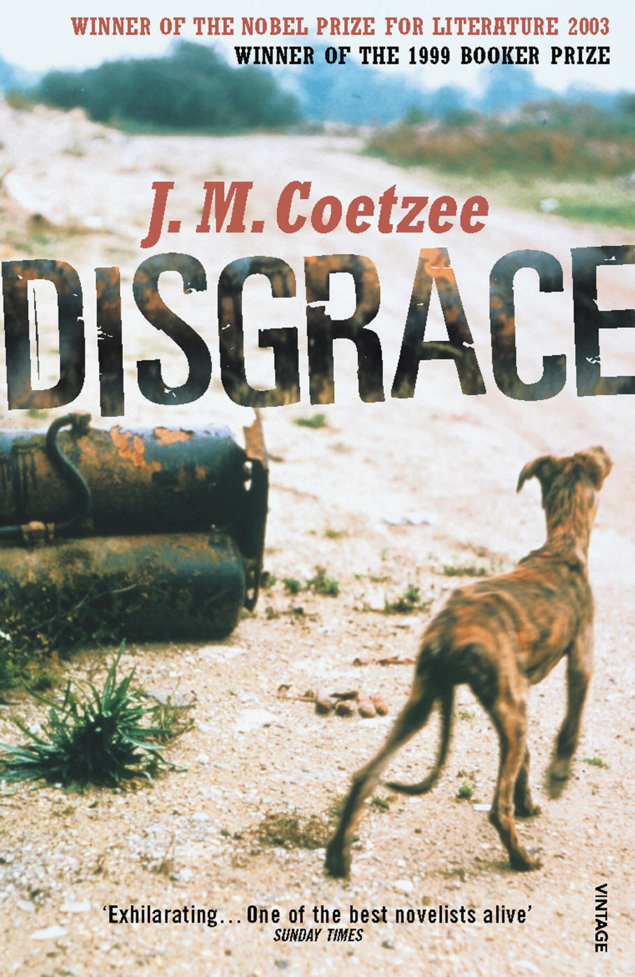 Disgrace J M Coetzee