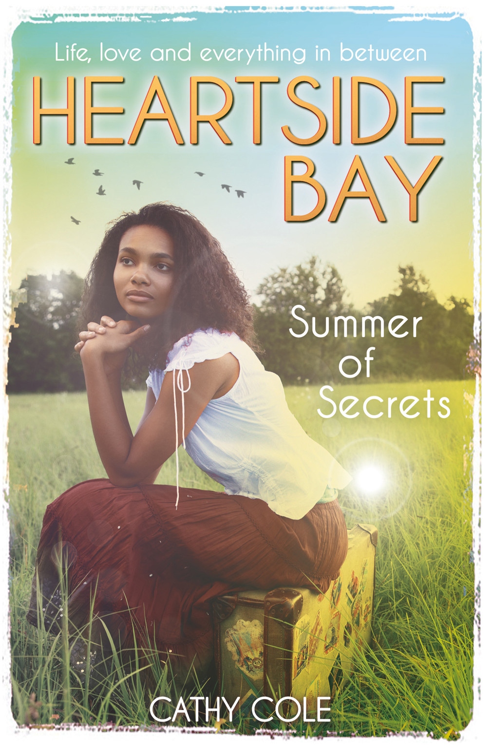 Summer Of Secrets Cole Cathy