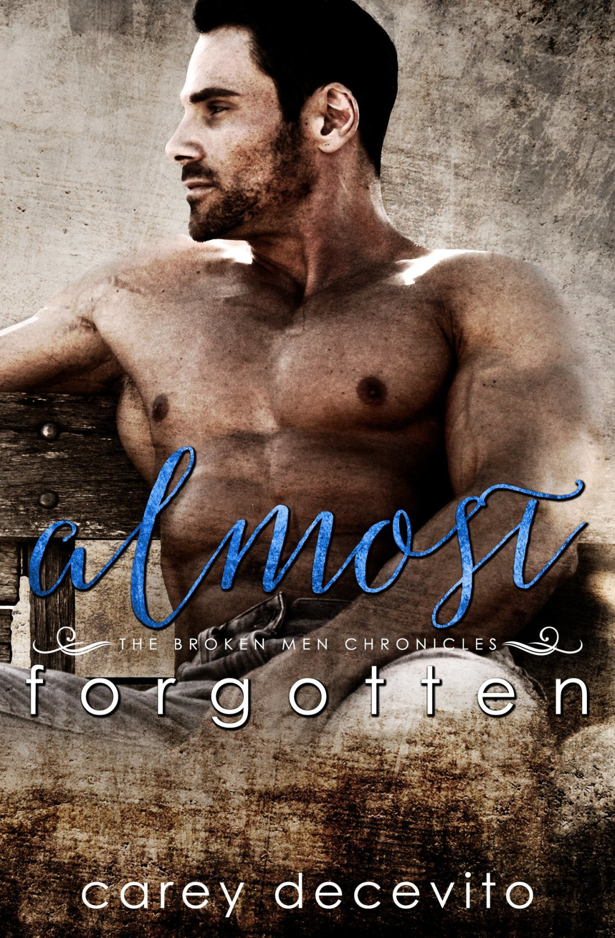 Almost Forgotten Contemporary Erotic Romance Decevito Carey