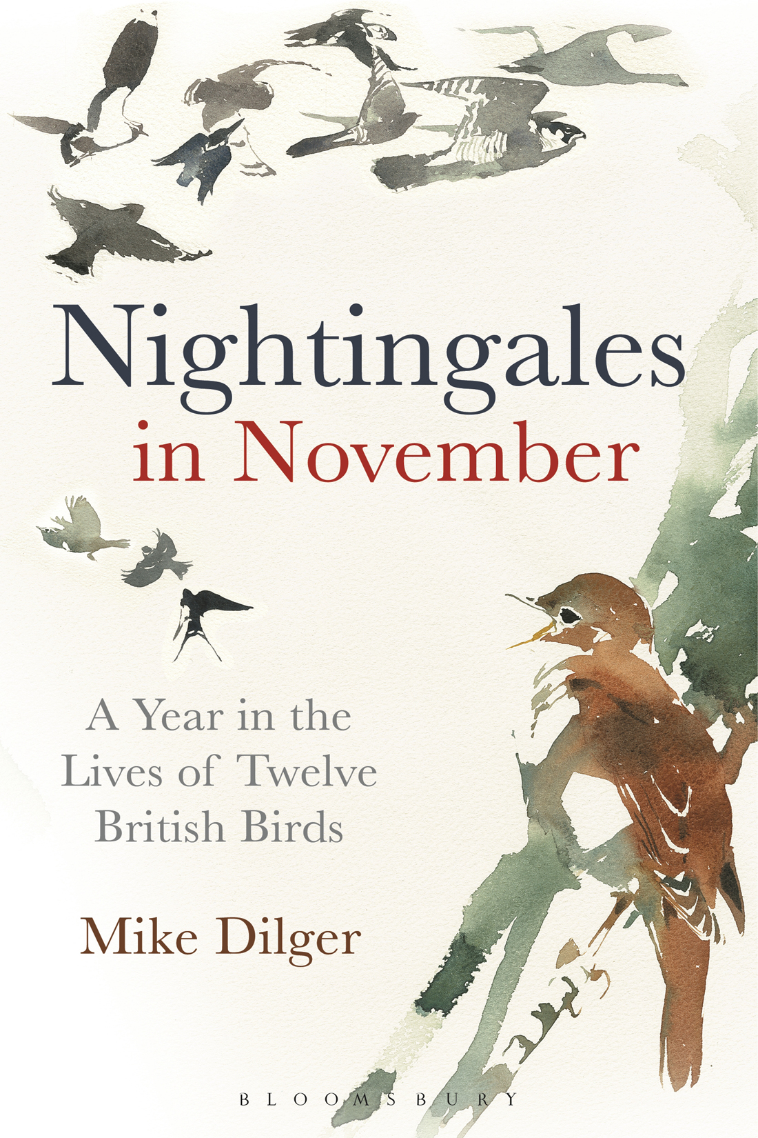 Nightingales In November A Year In The Lives Of Twelve British Birds Dilger Mike